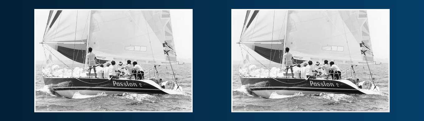 Passion / Monohull